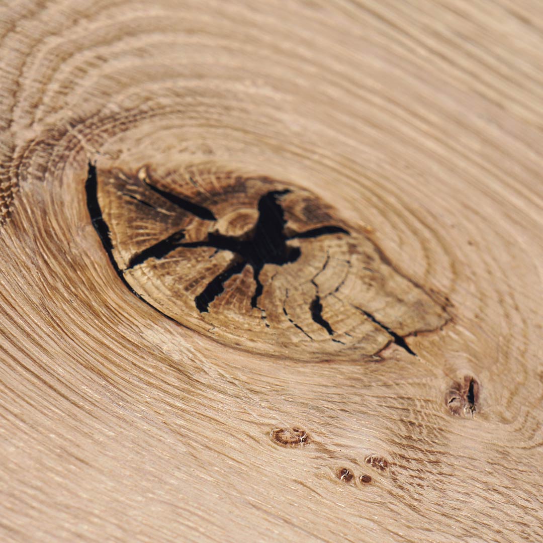 Wood Repair PROFI Satz